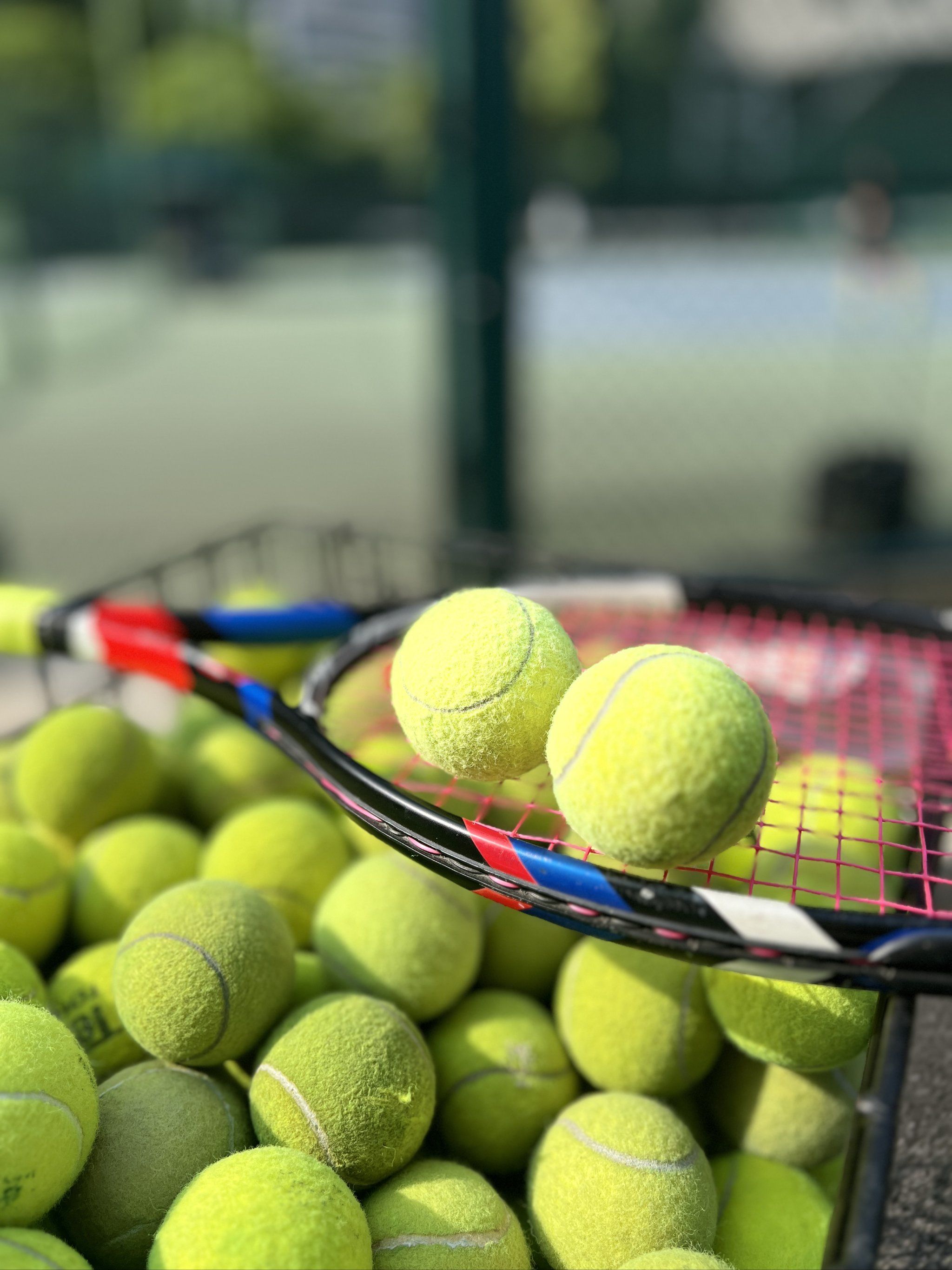 开始反思其 开始反思其